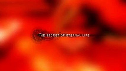 Memento Mori - Trailer #1