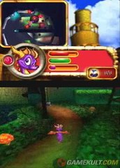 The Legend of Spyro : The Eternal Night - Le lotus vert