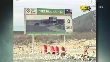 ¿Cuánto cuesta mantener a un Reo?