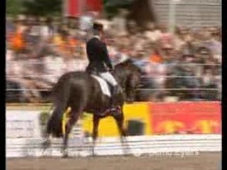 Dressage