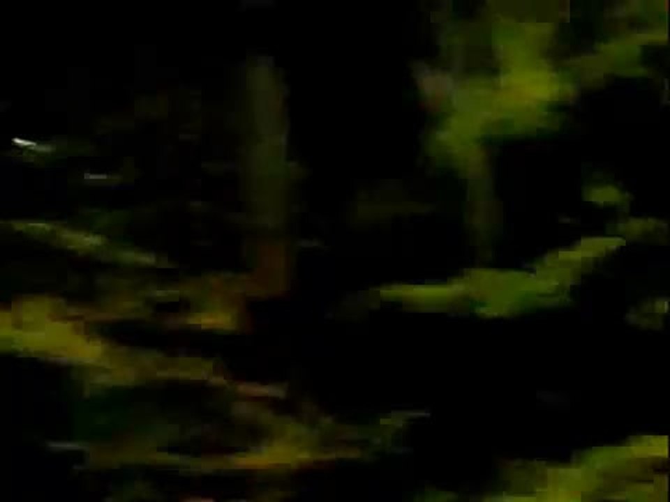 2007-12-07_久我山・夜の玉川上水２