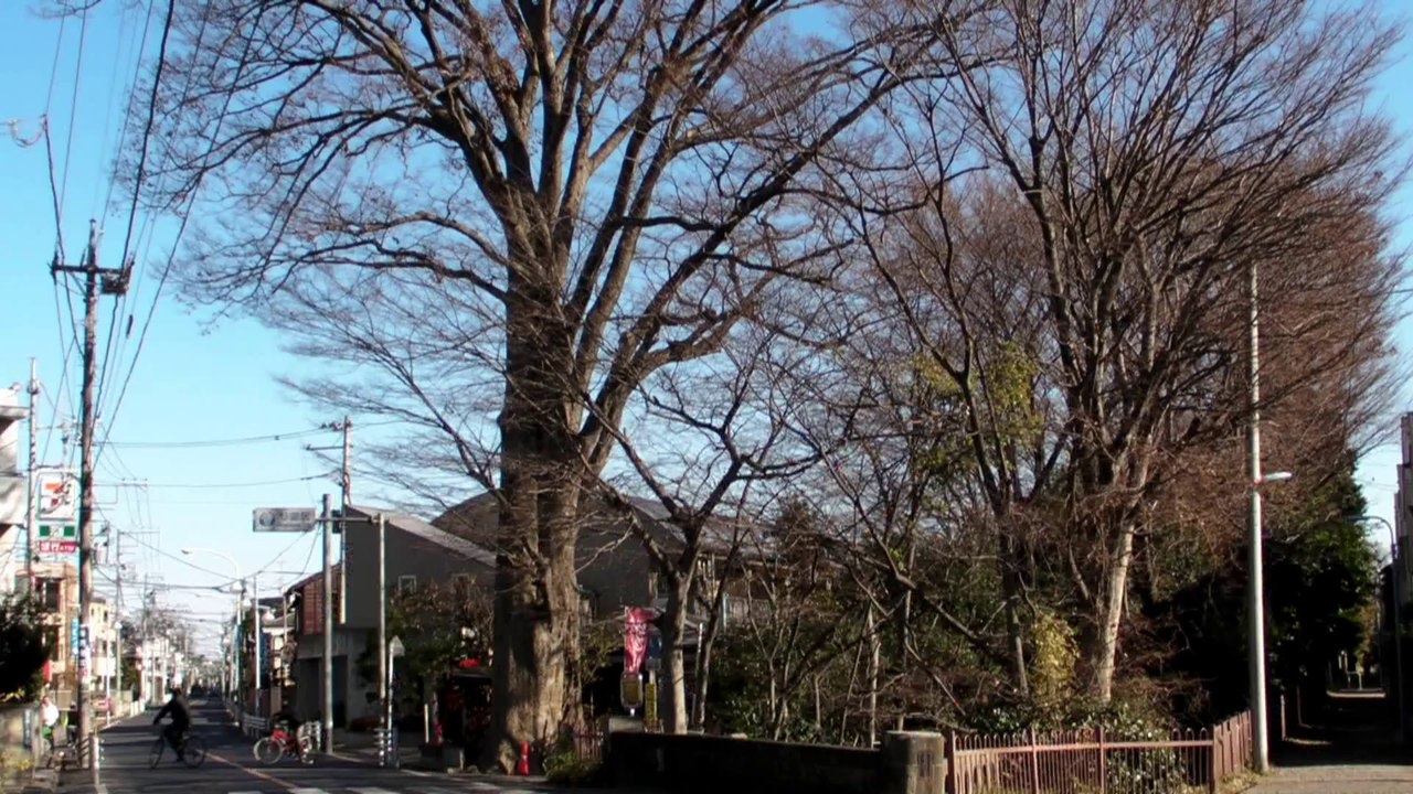 2007-12-16_１２月の風景