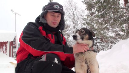 HD 2014.02 Rando à Sorsele avec les Norrland Husky