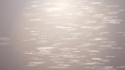 Text Form - After Effects Template