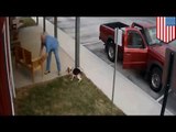 Man caught on tape abandoning dog in Tazewell County, Virginia