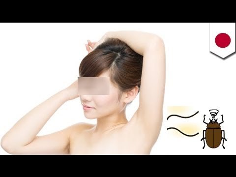 Okinawa pest control experts find sexual pheromone to expel harmful insects