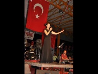 Aybüke Ayberk-Bahçada Yeşil Çınar