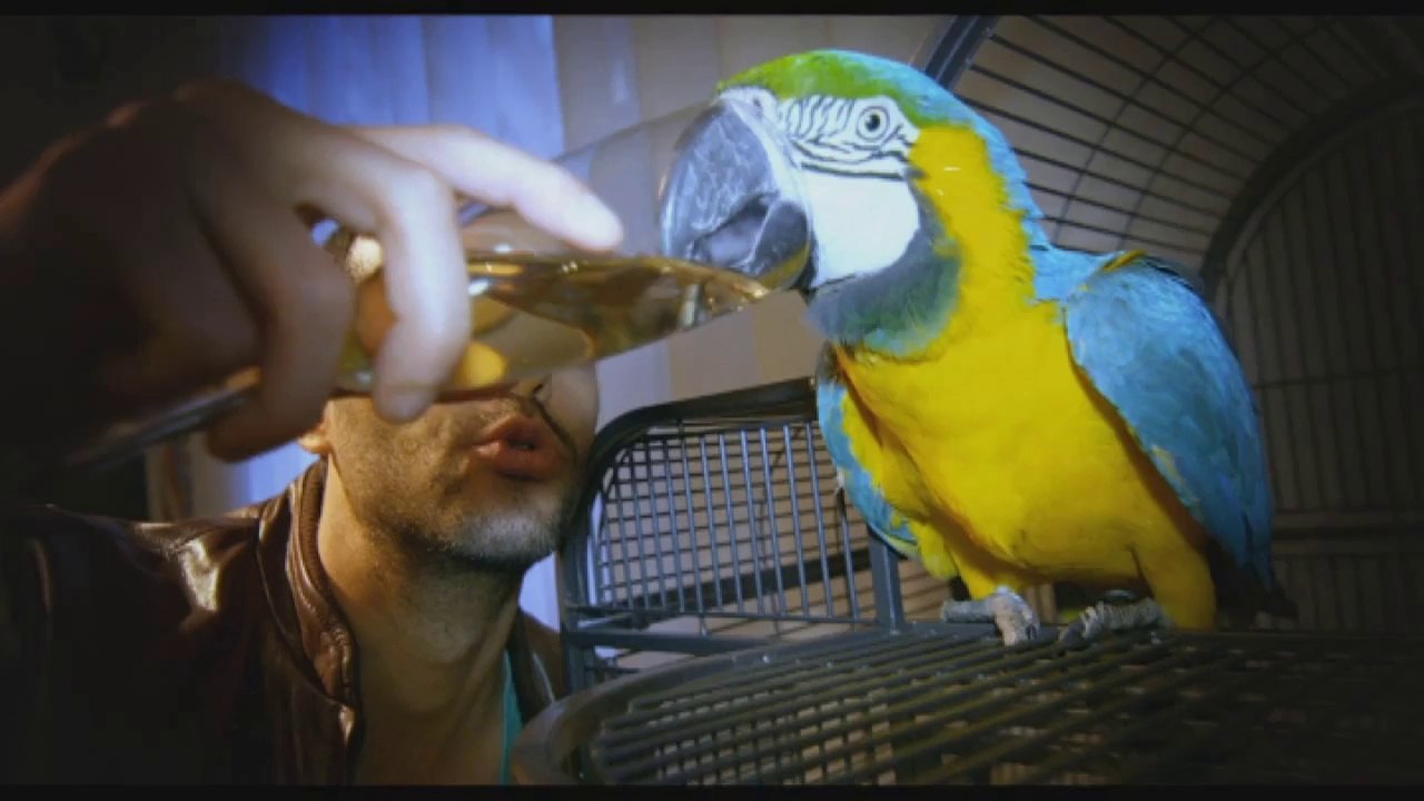 BABYSITTING - Bande-annonce VF