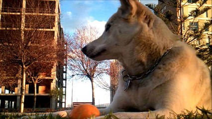 Largo camino del hambre