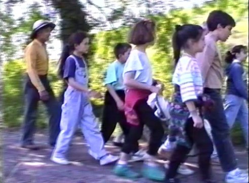 Danse avec les abeilles