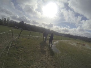 28.02.2014.d.tenebra