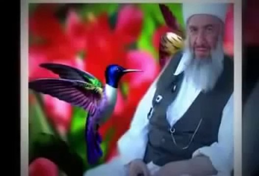 Gavs Sani Abdulbaki Hz (k.s)