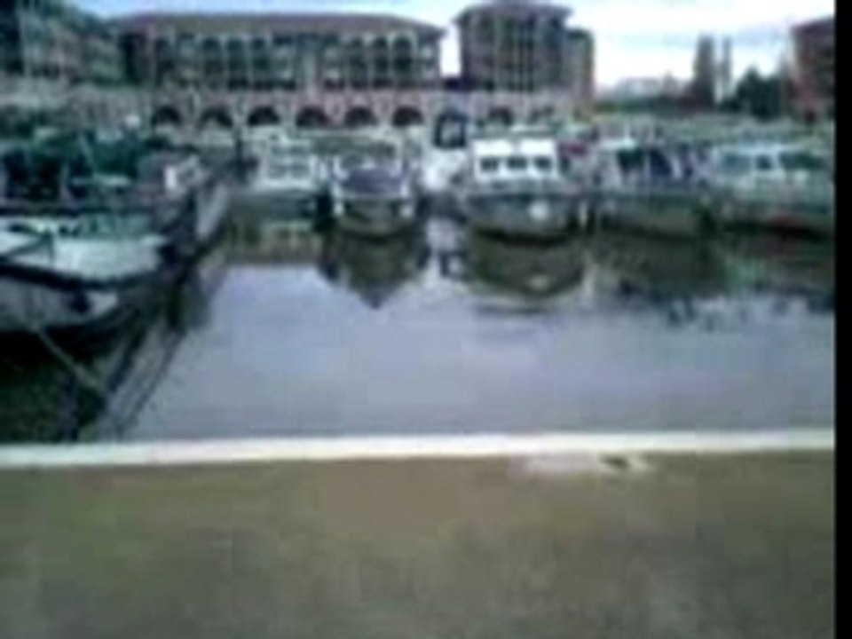 plouf ds le port de lattes ax et nouille