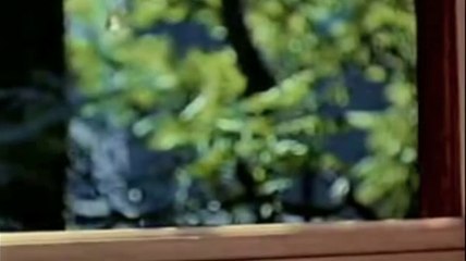 Mushroom Men : La Guerre des Spores - Réglé comme un métronome