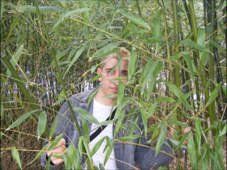 Reviens ( musique de juan )