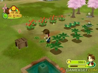 Harvest Moon : Parade des Animaux - Cane et poussin