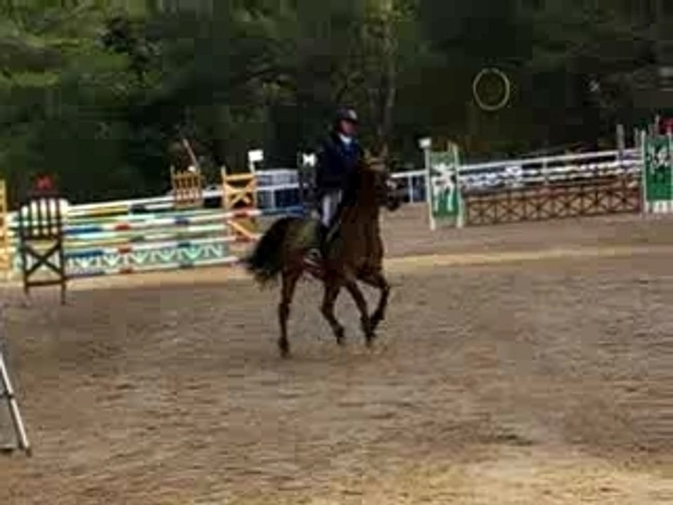 D1P - Libellule du Py