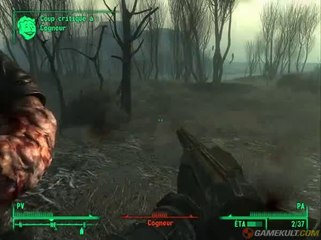Fallout 3 : Point Lookout - Les gars du pays