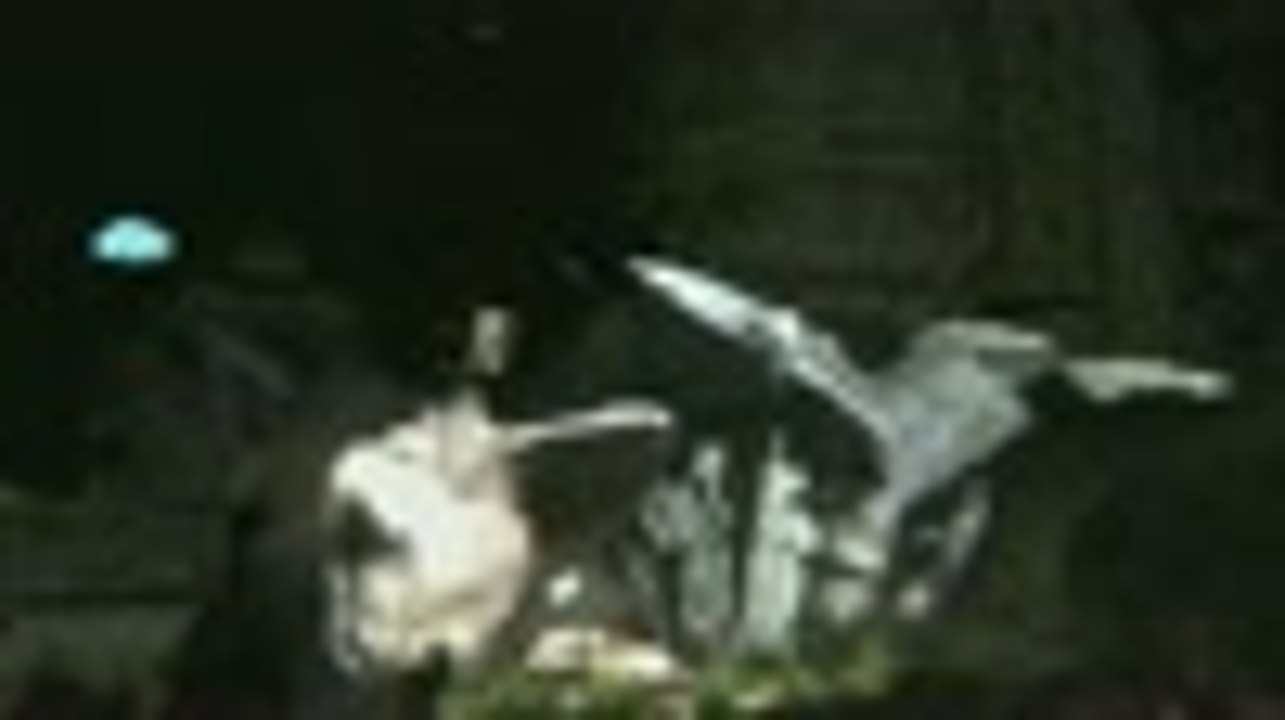 The Last Guardian - Trailer TGS 2010