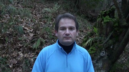 Oleada de incendios en Asturias