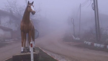 BEYŞEHİR GÖLÜ ÇEVRESİNİ SİS BIRAKMIYOR.