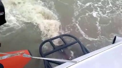 5000 Turbo-Diesel-PS am Katamaran Nordlicht