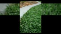 דשא סינטטי ברמת גן - דשא קבוע