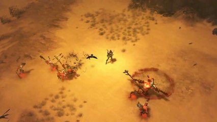 Diablo III - Demon Hunter : Companion