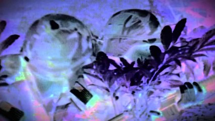 Tom Clancy's Ghost Recon Future Soldier - Richard Machowicz nous parle