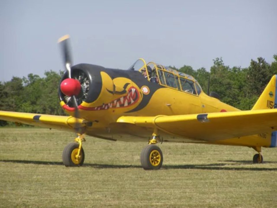 meeting ferte alais avions