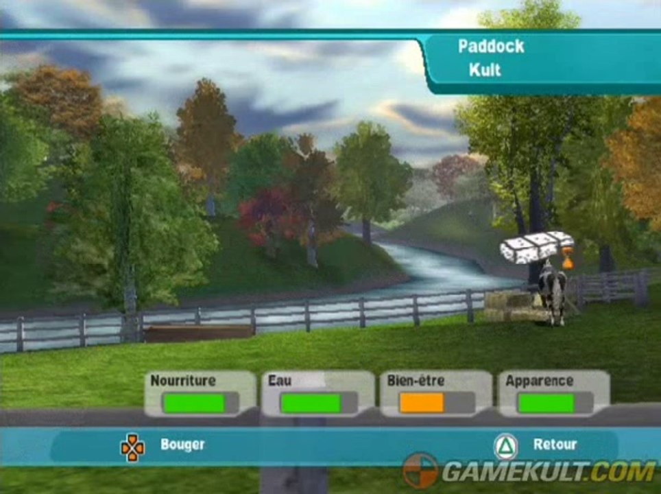 Le Challenge Equestre de Lucinda Green - S'occuper de son cheval