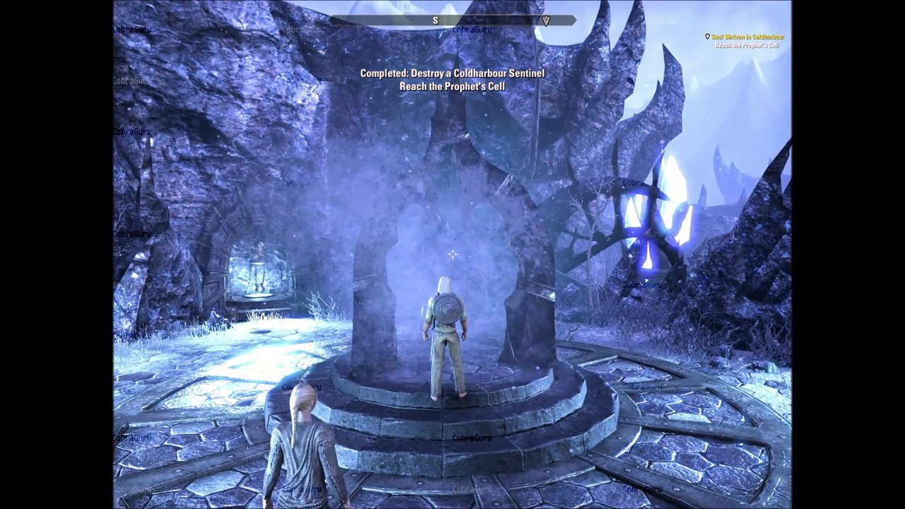 The Elder Scrolls Online Beta Test
