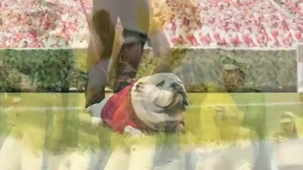 NCAA Football 12 - Art Director Interview