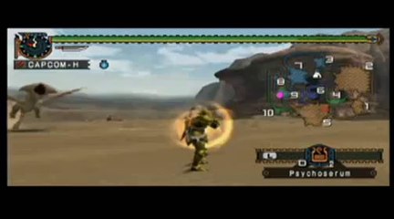 Monster Hunter Freedom Unite - Objets et combinaisons