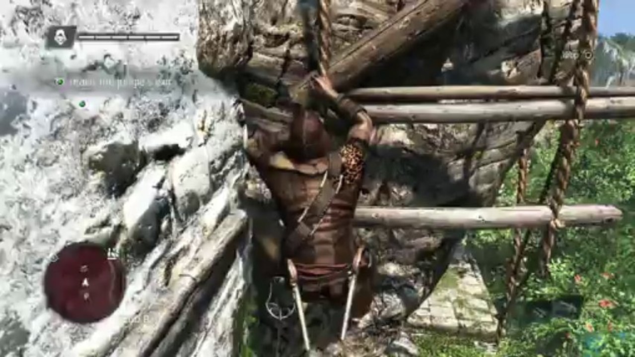 Assassins Creed IV: Black Flag and Battlefield 4 Review