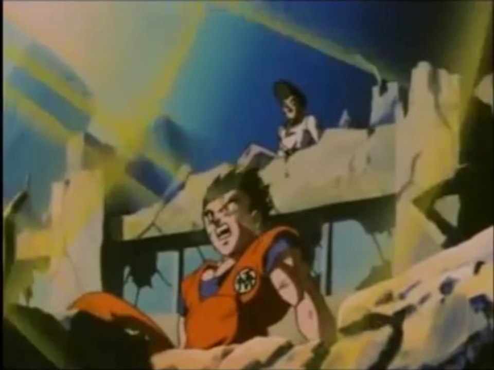 Fusion gogeta Super Sayen 4 DBGT Fr