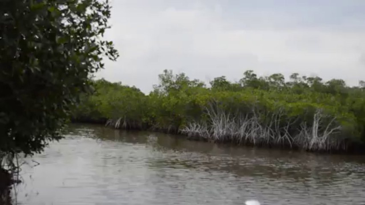 Airboat