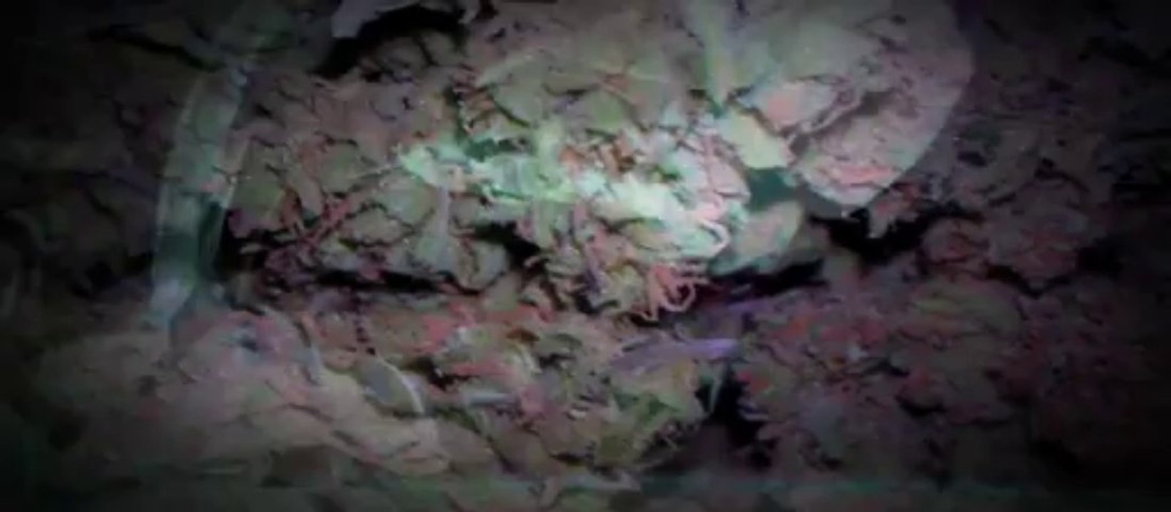 Hazeone! - ohlalala (official video)