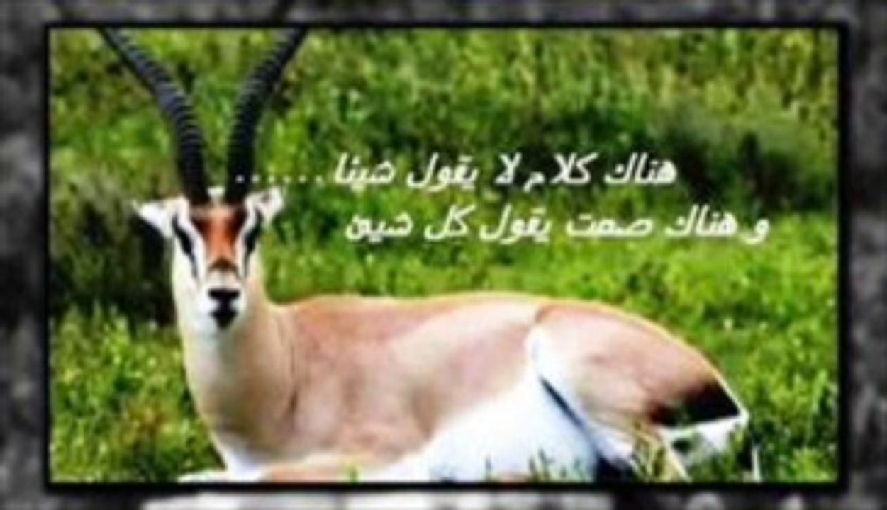 Hamimdel _ YA LAHBIB ESSALI _ 322