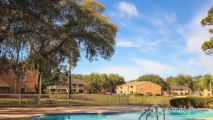 Windwood Oaks Apartments in Tampa, FL - ForRent.com