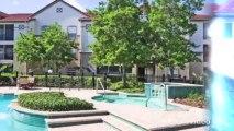 Egret's Landing at Boot Ranch Apartments in Palm Harbor, FL - ForRent.com