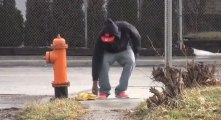 Snake Jumps Out Of Purse On The Ground... Epic Prank!!