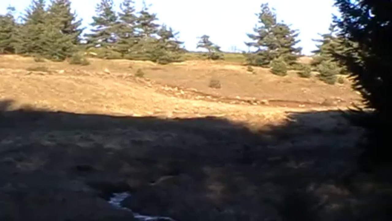 entrainement parc peyrebeille12 01 2014