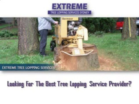 EXTREME TREE LOPPING SERVICES SYDNEY