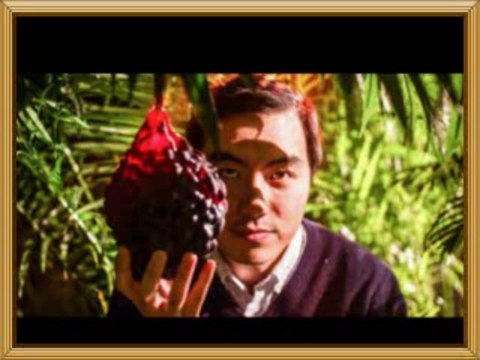[연산동-1%출장-연산동오피] 대전둔산오피 abam4.com 신림오피-쿨 성정오피 연산오피 해운대오피