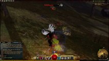 Guild Wars 2 - Le Voleur en action