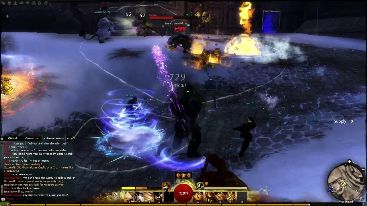 Guild Wars 2 - WvW - Bataille pour Woodhaven