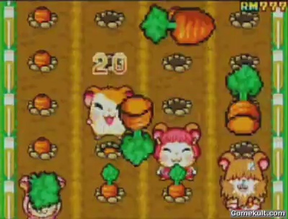 Ham Ham Games - Les carottes sont cuites