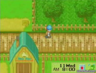 Harvest Moon : Friends of Mineral Town - La cueillette