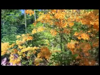 ULTRATECKEL : DEAD MICHAEL ( M.J. Cover - 01/2014)